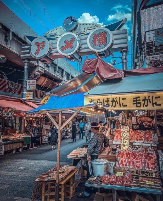 Alo BnB 1 - Near UENO AKIHABARA SENSOJI TOKYO SKY TREE - Self check-in 전경
