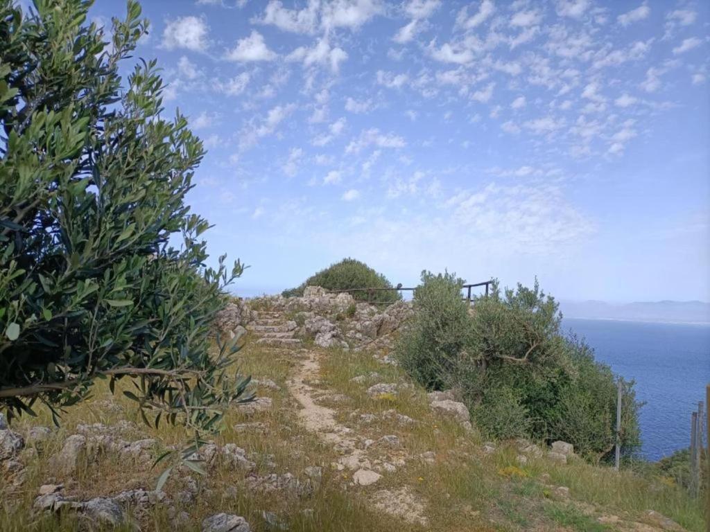 Villa in Castellammare del Golfo with private pool - 5