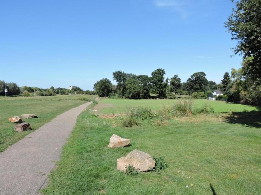 Surrounding environment