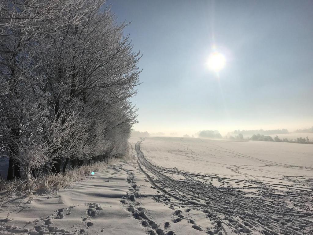 Inviting apartment in Pruchten with garden, Pruchten