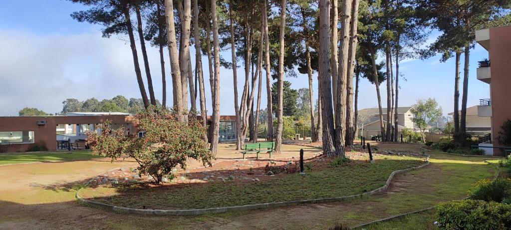 Lindo y cómodo departamento en Algarrobo, Chile - 2