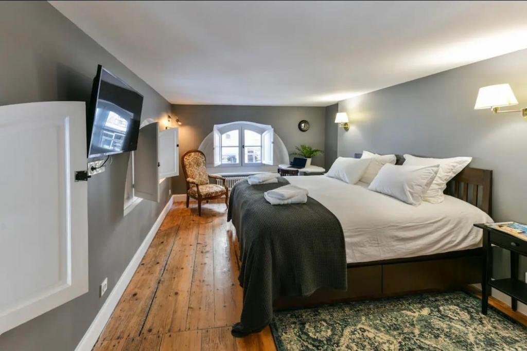 Le Gramont, T3 en hypercentre de Pau - avec clim, Pau