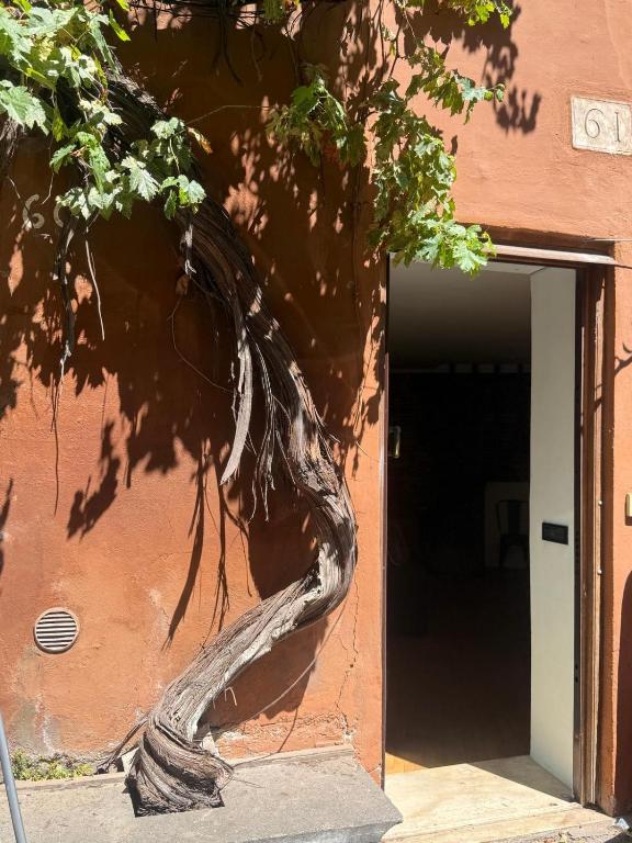 Casa Julia - 4