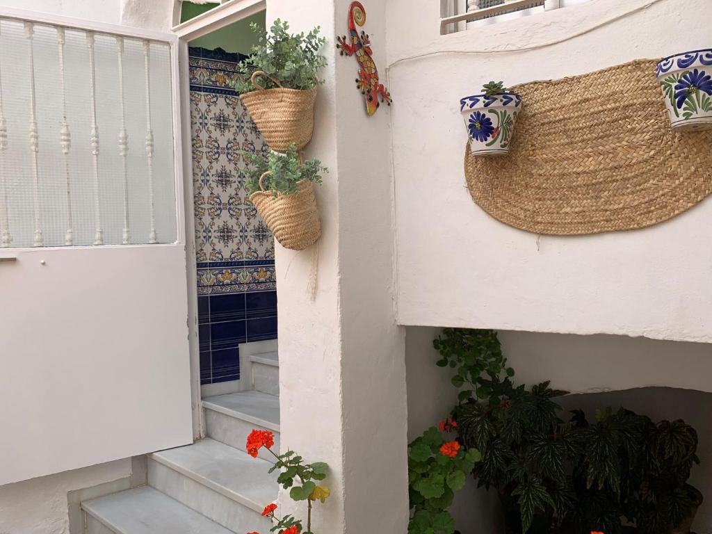 Casa Ana - 4