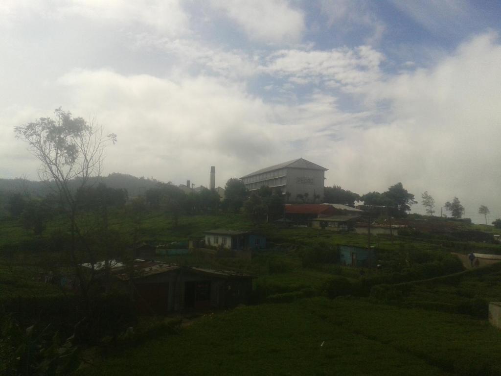 Pedro View Homestay photo