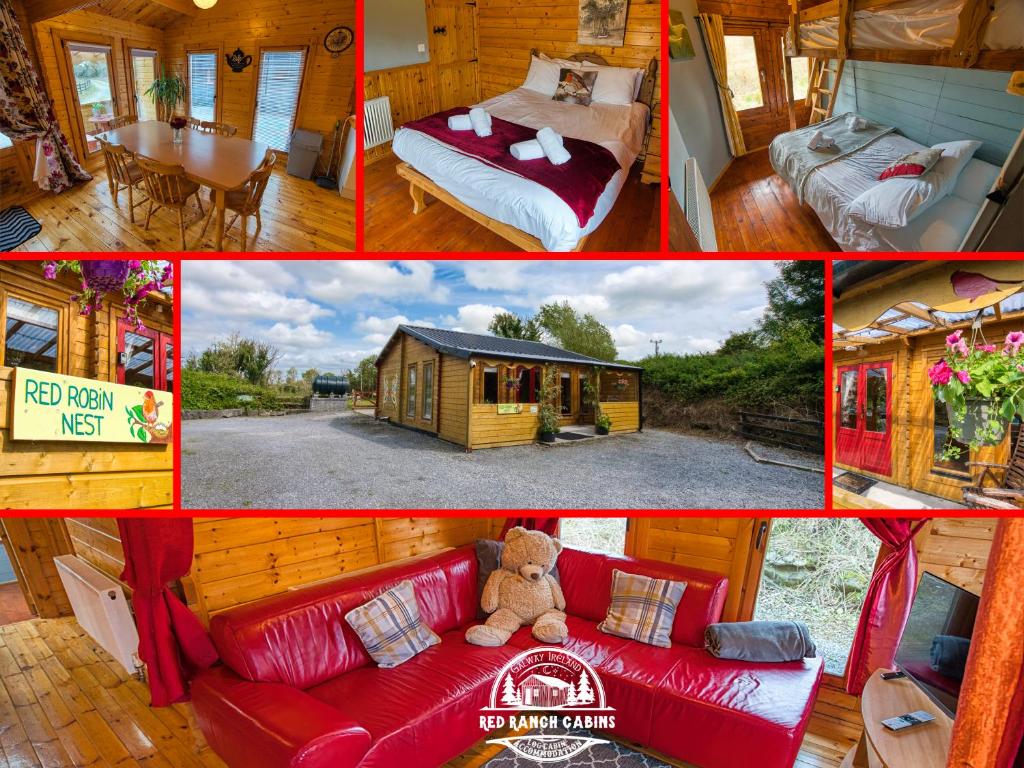 Red Robin Nest, Galway