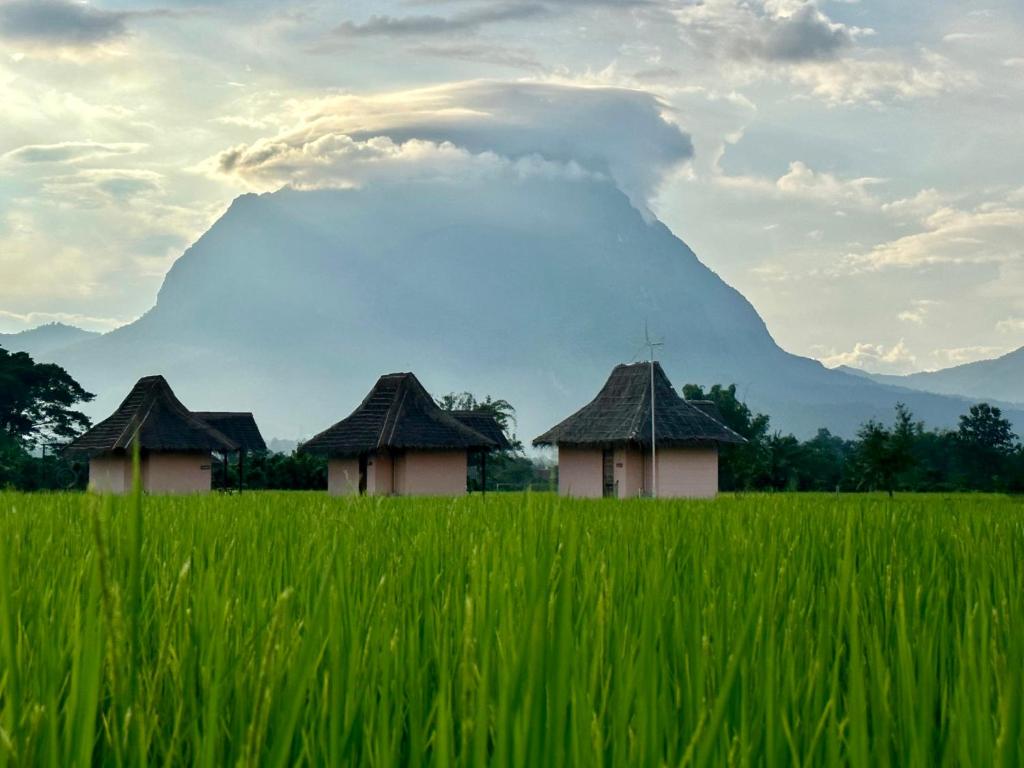 ทัศนียภาพ