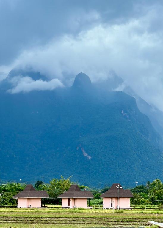 ทัศนียภาพ