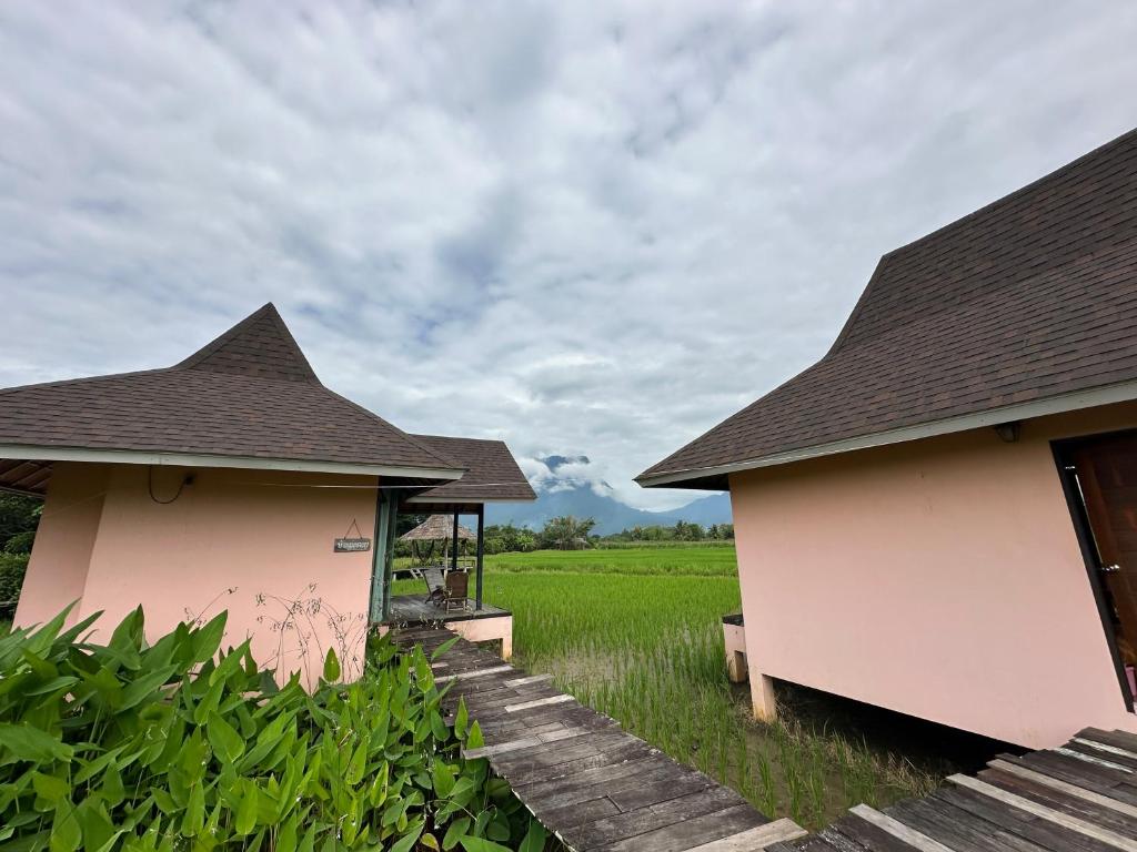 สภาพแวดล้อมโดยรอบ