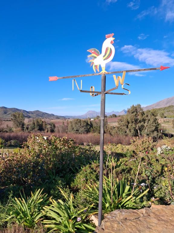 Malvahuis, Barrydale