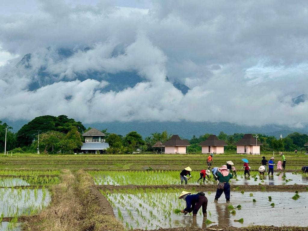 สภาพแวดล้อมโดยรอบ