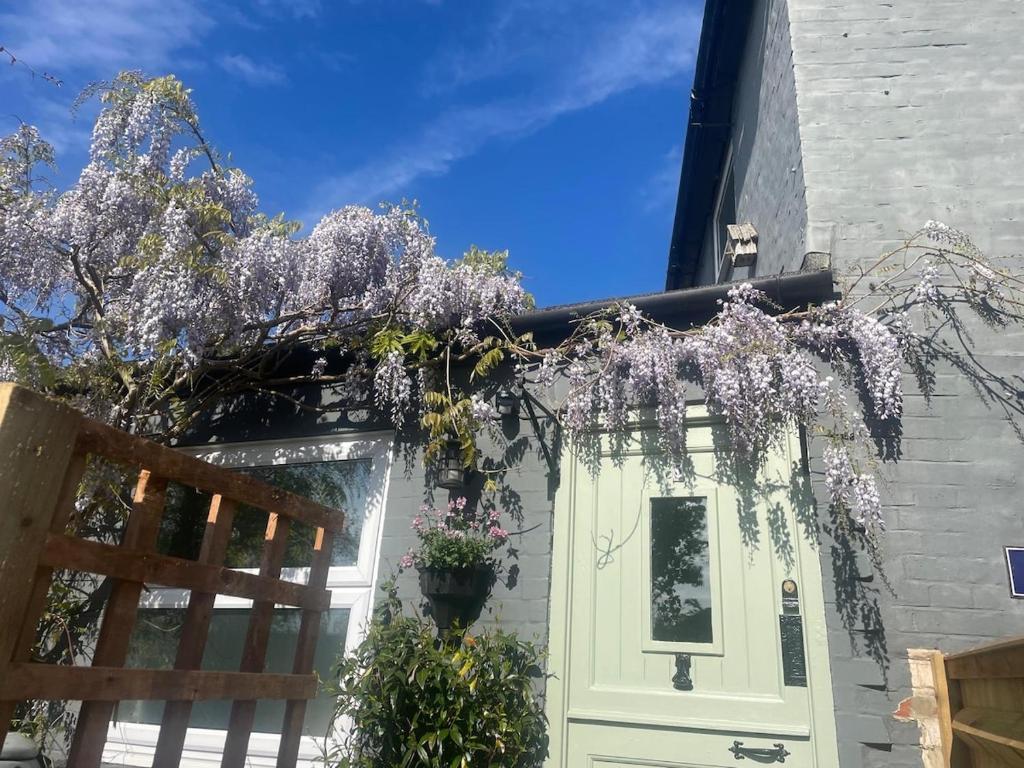 Charming countryside cottage, Bekesbourne