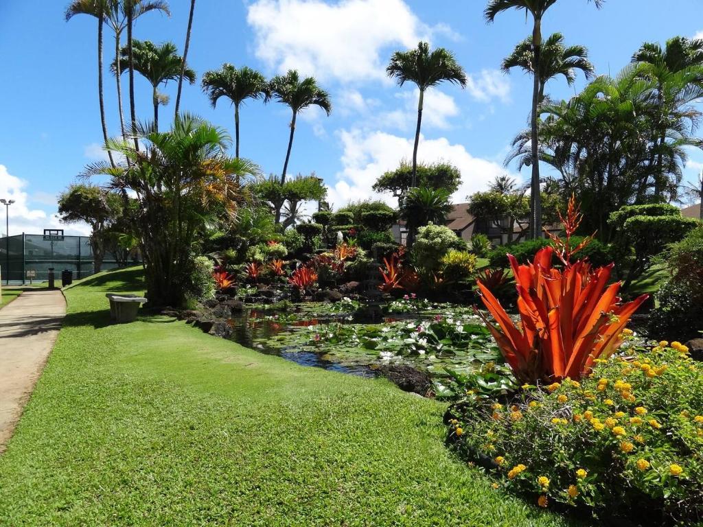Condos in Kapaa, Kapaa