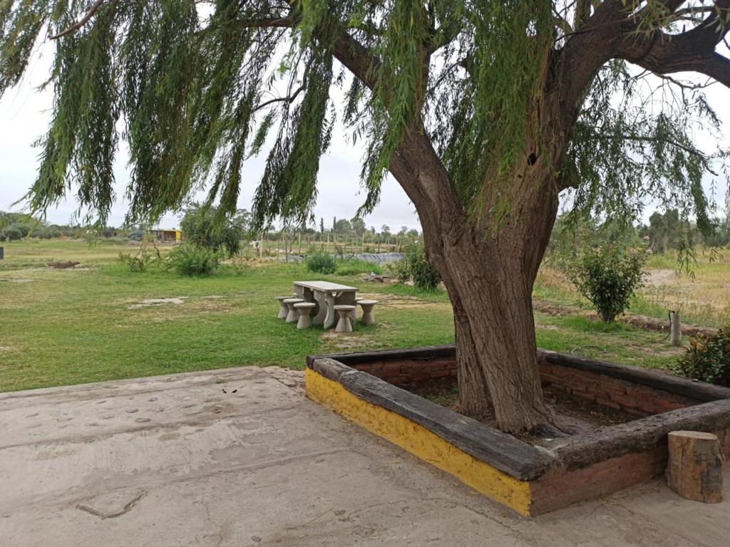 Alala Campo Casa Quinta - 4