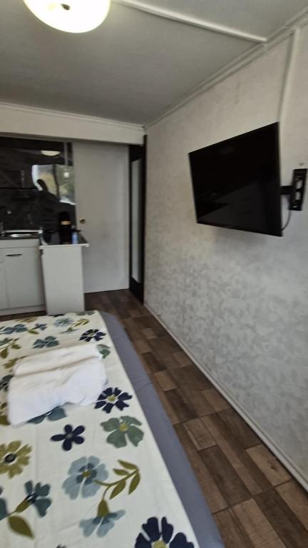 hostal andes - 2