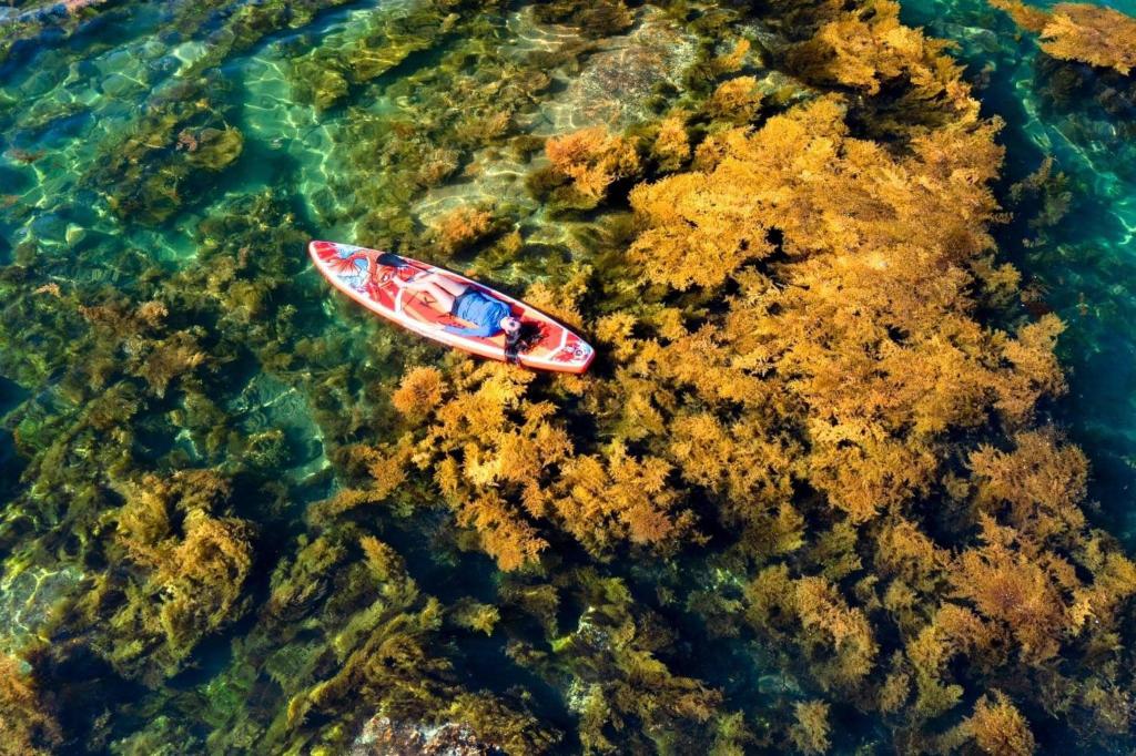 Surrounding environment