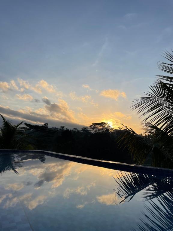 DeSila House and Pool, Susut