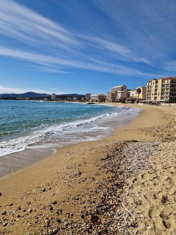 Charmant T2 au Lavandou - 1