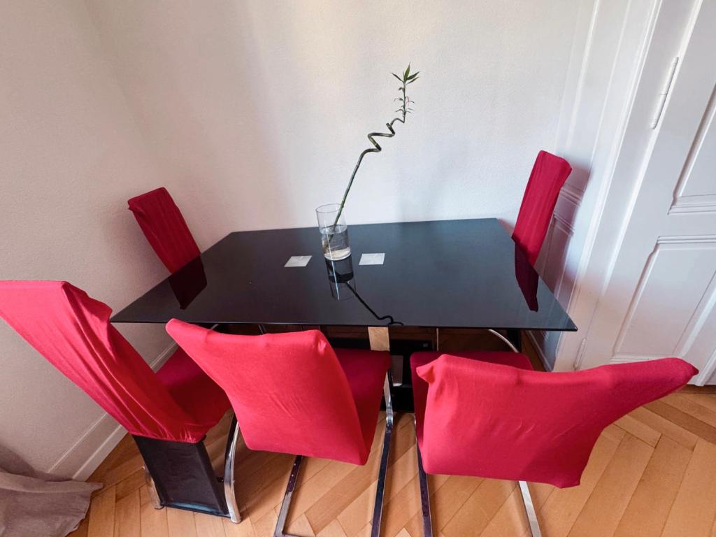 Apartamento lausanne 2 - 3