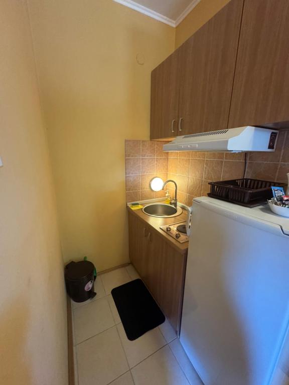 Agora Apartmani, Vrdnik