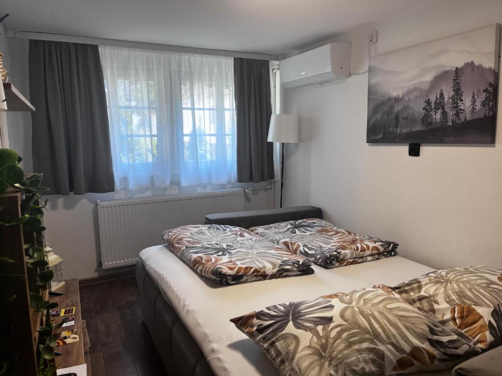 Mirka, Sremski Karlovci