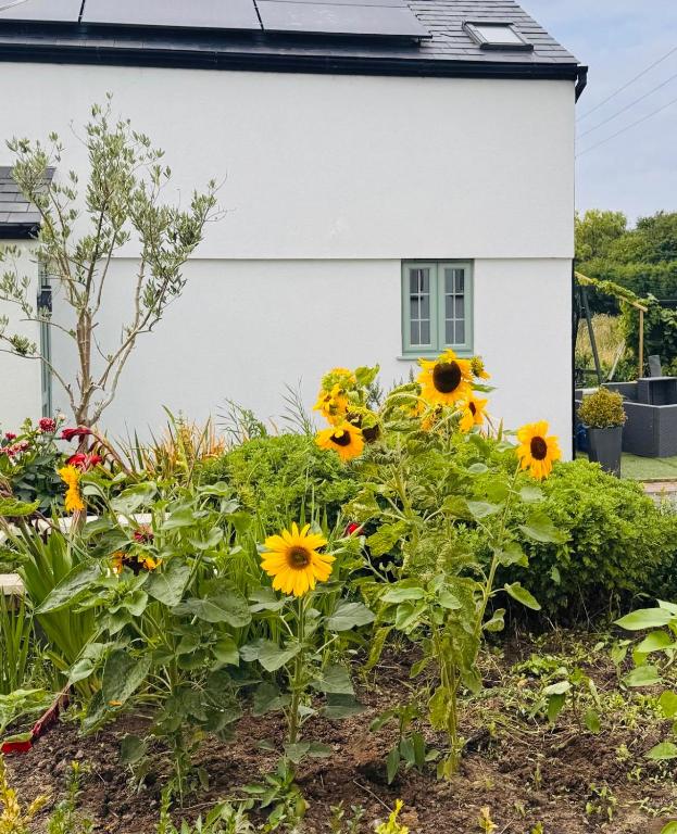 Peaceful countryside retreat, Gedney Hill