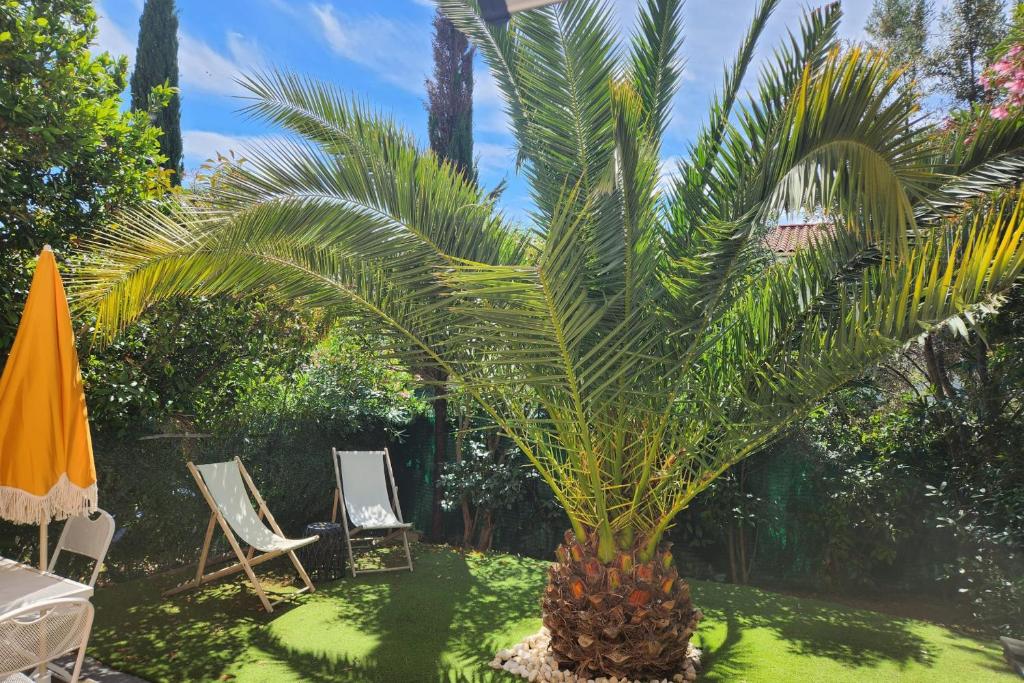 Nice family home in La Ciotat - 1