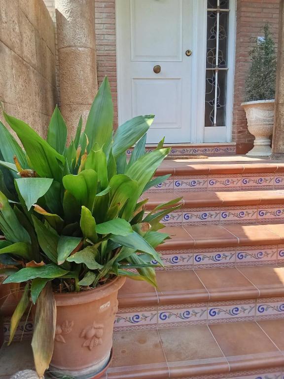 Valencia Casa Rosa