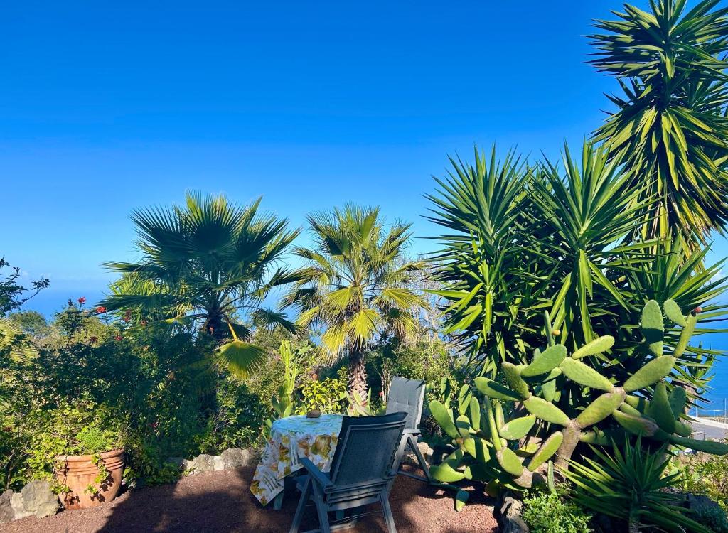 Finca Tenerife - Traumblick, tropischer Garten, viel Platz & Ruhe - 5