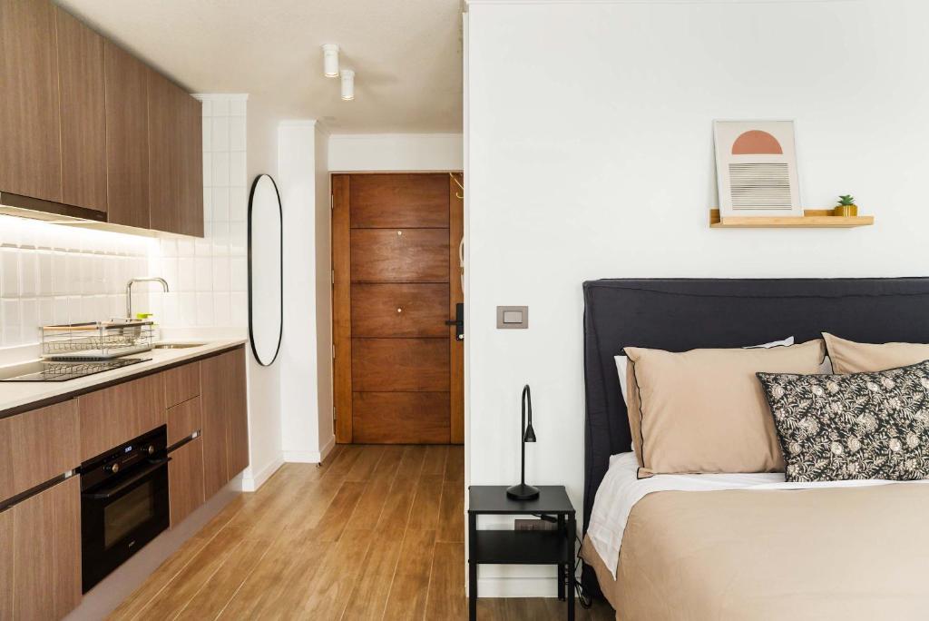 Metro Nunoa Chic Studio for Exploring, Santiago