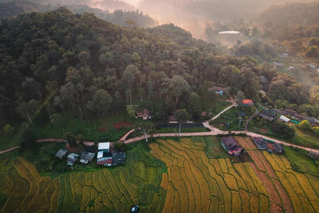 Lochi Chiangmai โลชิ เชียงใหม่, Ban Pha Mon