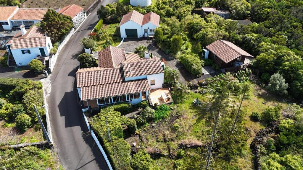 Pico Sereno, Santana