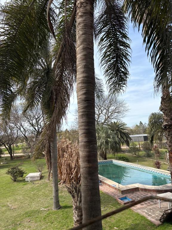 Casa Residencial Las Rosas - 3
