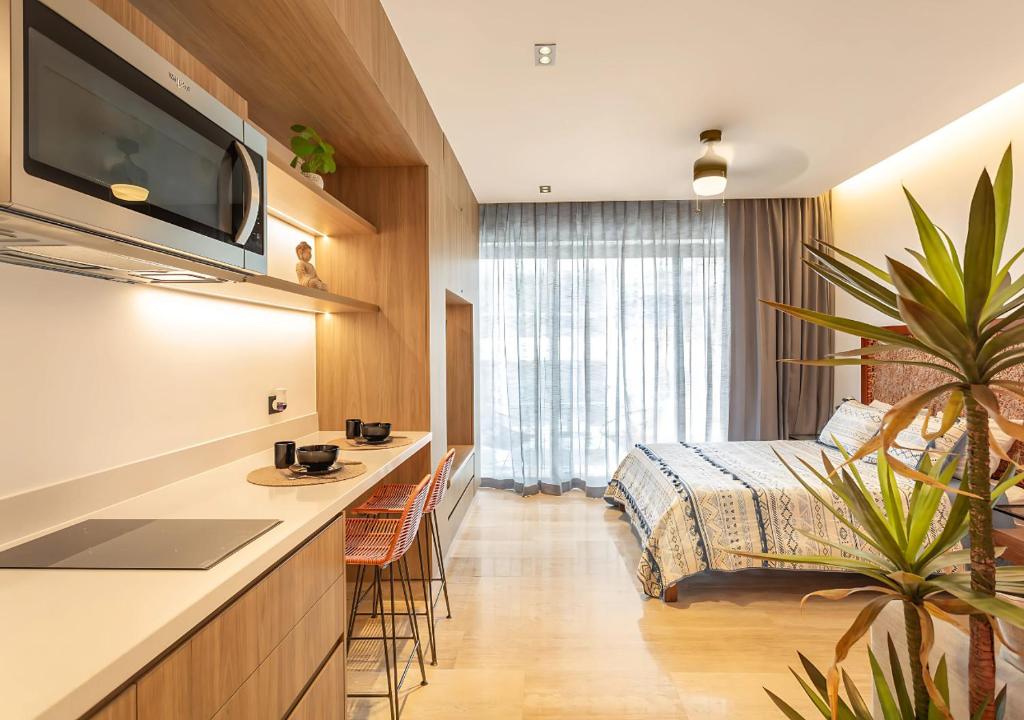 Cozy Studio with Rooftop Pool in Downtown Playa, Playa del Carmen