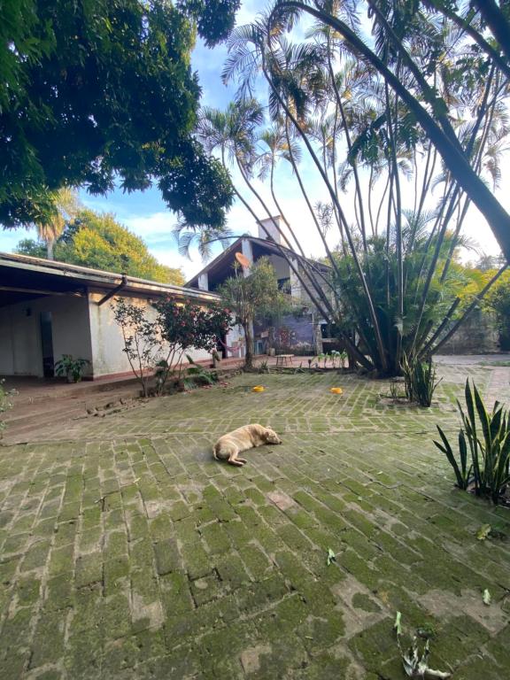 Casa Zorzal - 3