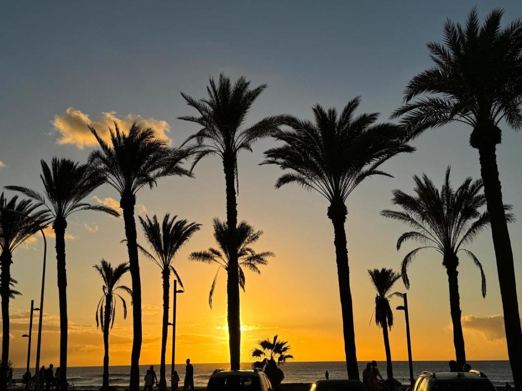 Las Americas Front Line, Playa de las Americas