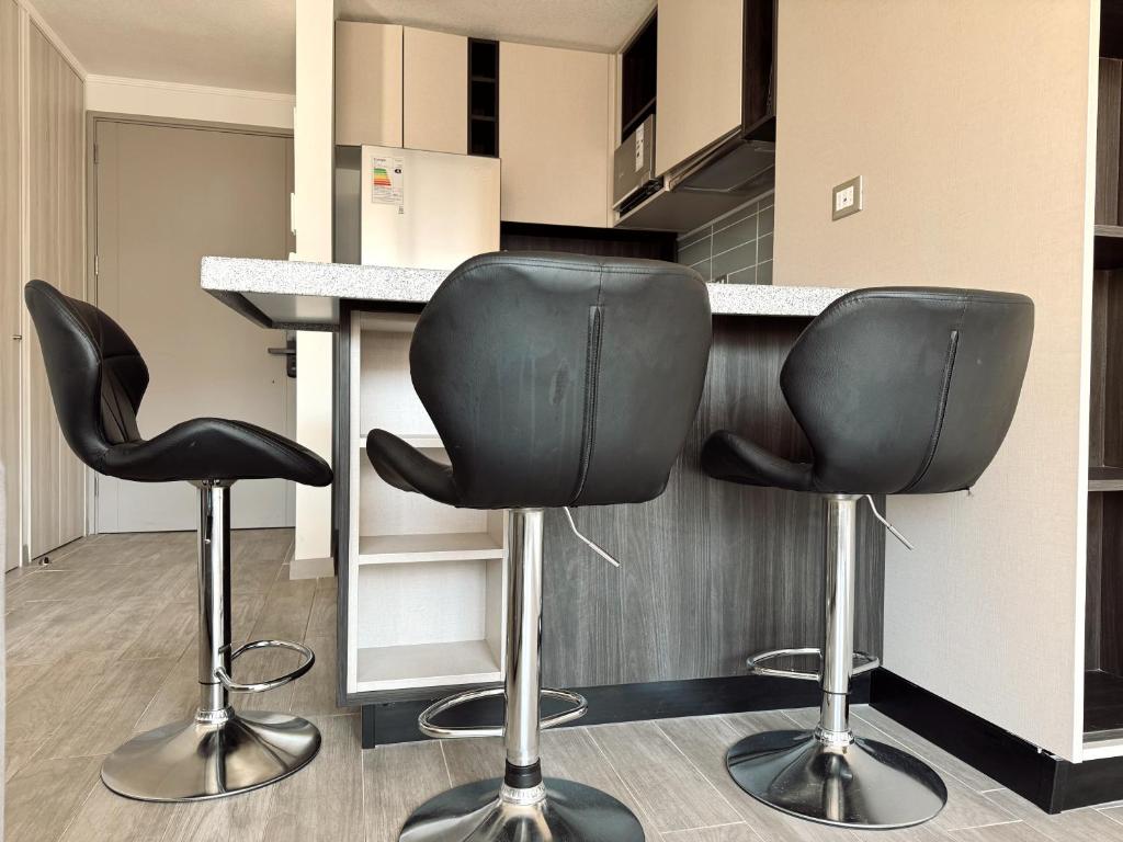 Parque Ohiggins I Movistar Arena - 3