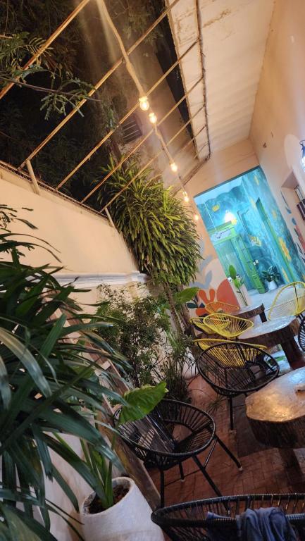 Mandioca Hostel - 5