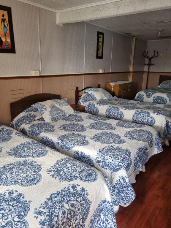 Hostal Patagonico - 5