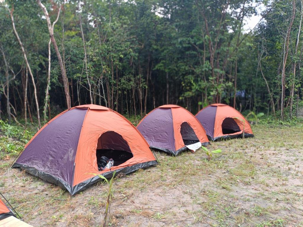 Chansor Homestay 3 By Siem Reap Homesteading, Phumĭ Trach Pôk (2)