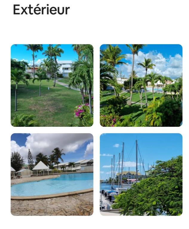 Le Flamboyant, Saint-François