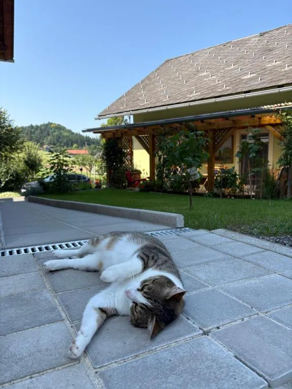 Gästezimmer Schupanez, hotel v destinaci Leutschach