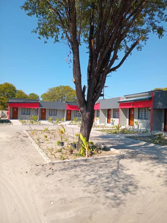 Ledu's Get-Away Nest, Maun Airport