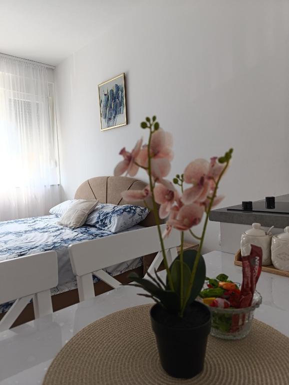 Studio apartment South - 5