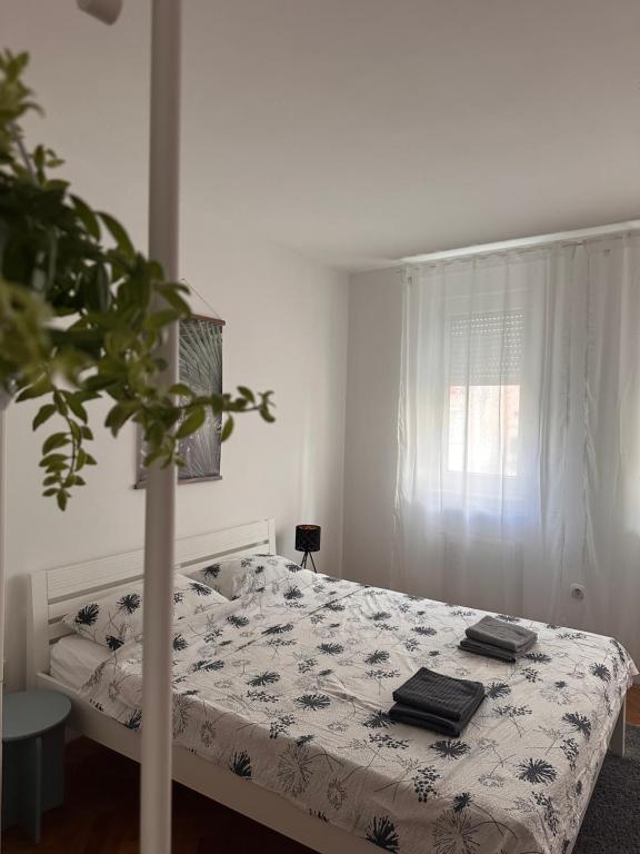 Studio Apartment Laganini - 4