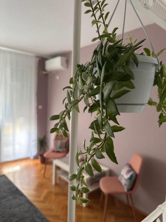 Studio Apartment Laganini - 3