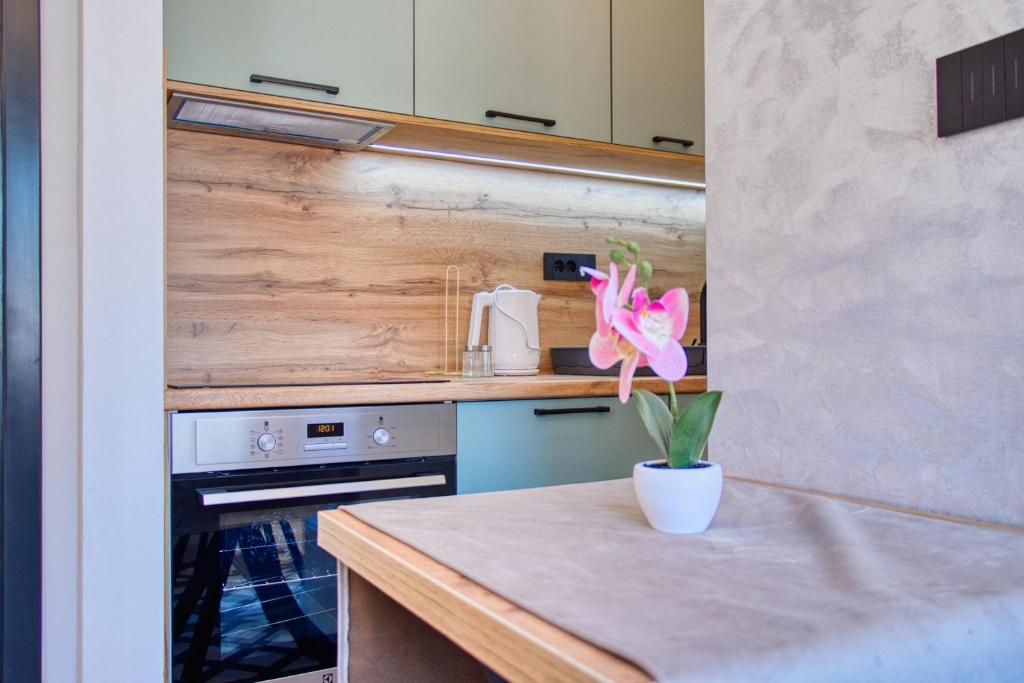 Lepenička Luxe - Premium Apartments - 2