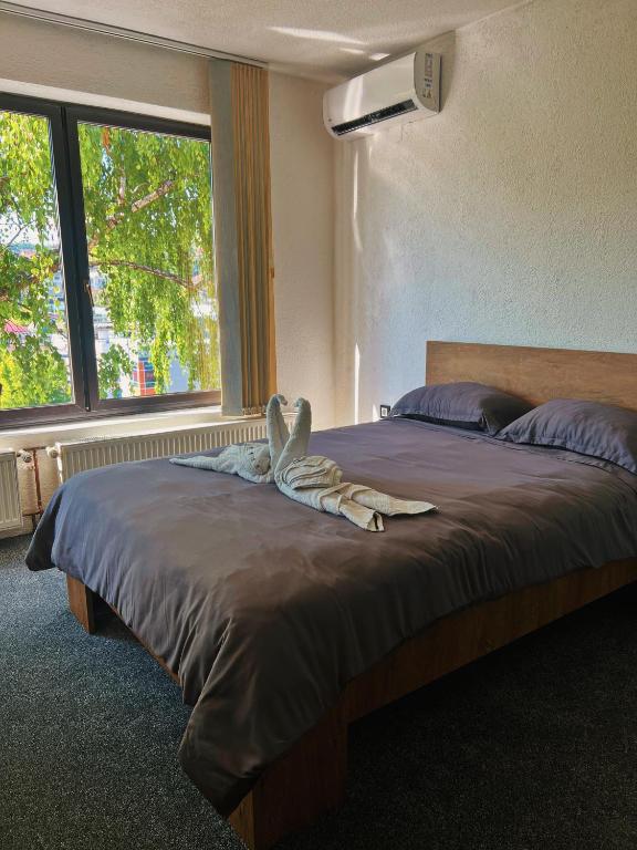 Apartman Alinac, Cazin