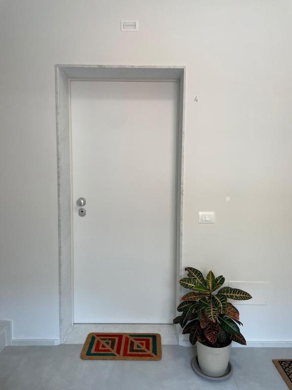 VickyVibes House - 5