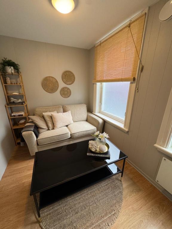 Midt i byen, Trondheim